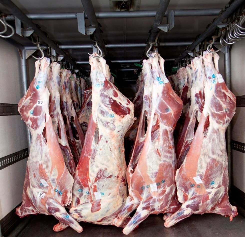 Sale and export halal frozen meat Agro Aydin Ukraine