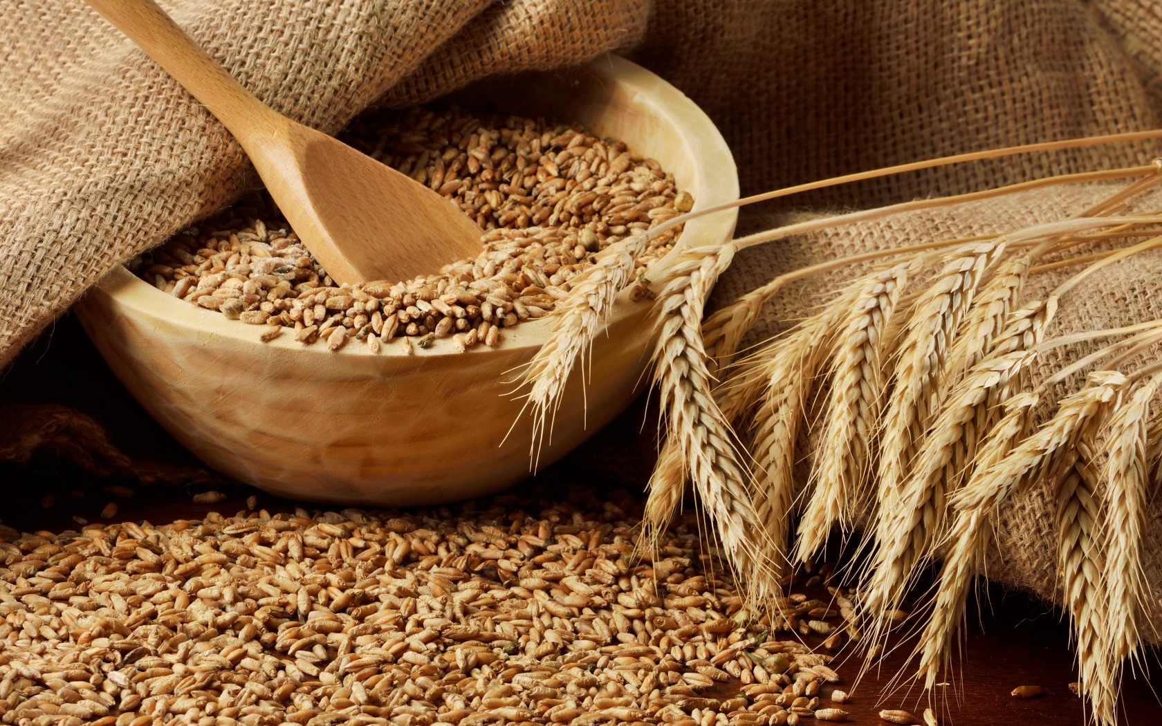 wheat Agro Aydin Ukraine