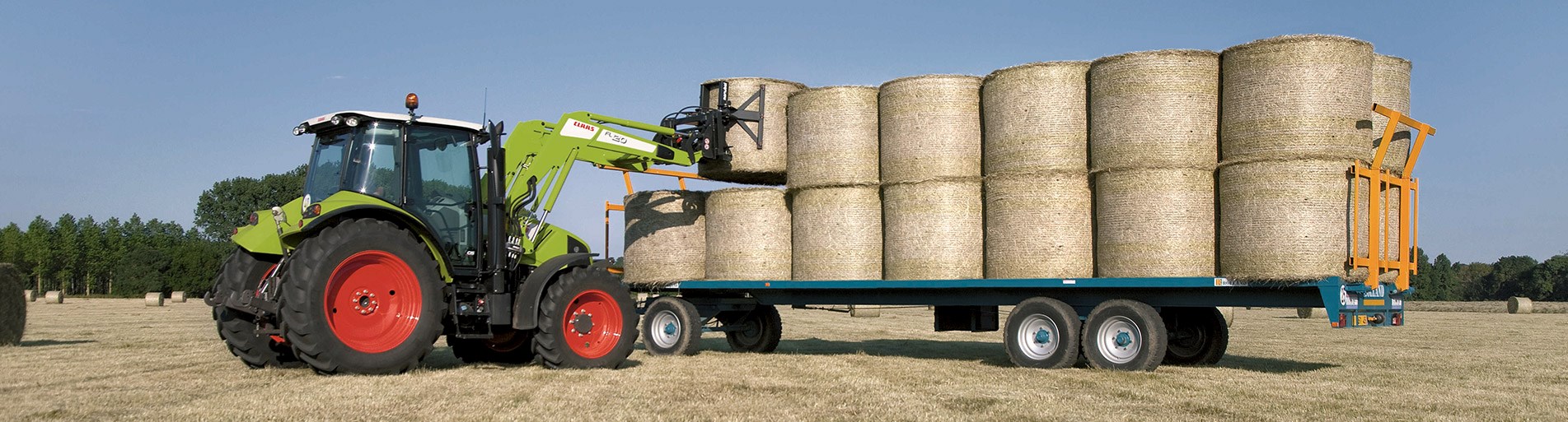 To wholesale hay, straw, forages in bales agro aydin