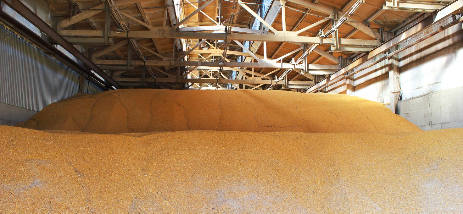 sale grain agro aydin